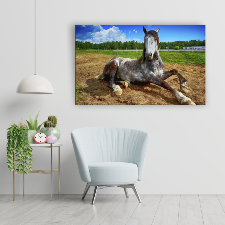 Cuadros para fotos - Magno